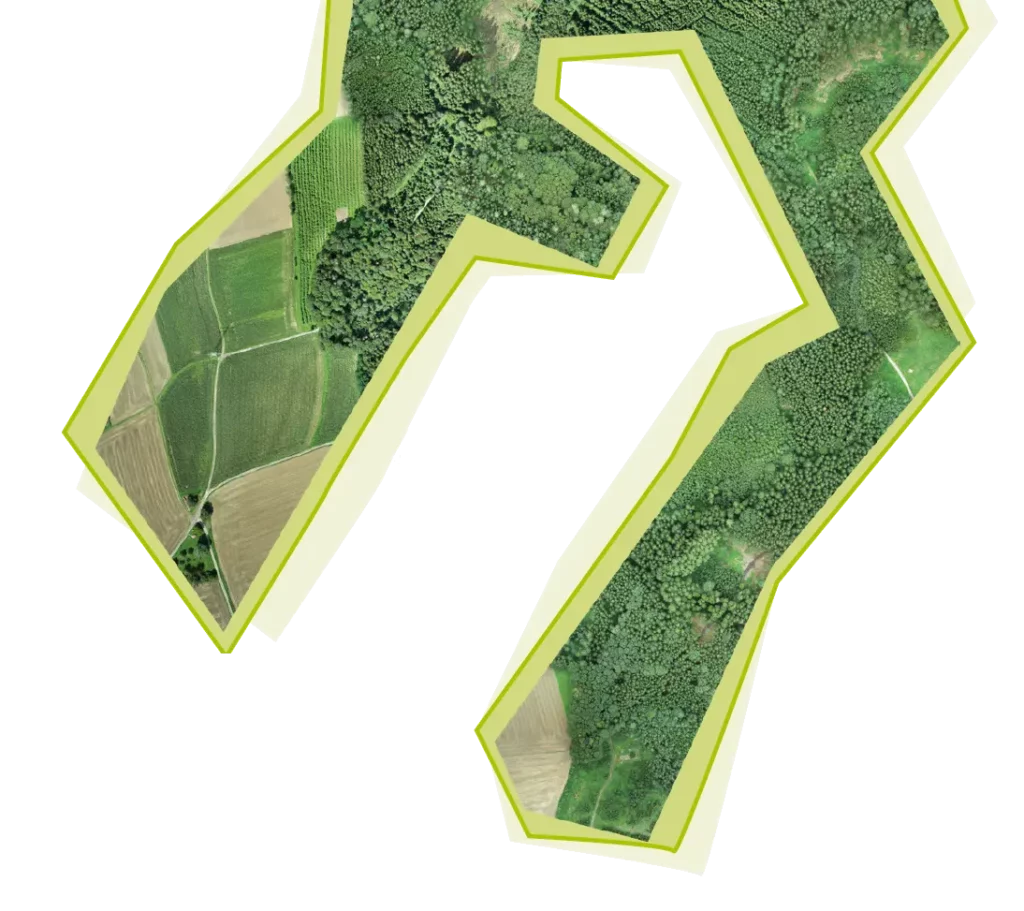 Drohnenaufnahme von einem Waldstück in Bad Birnbach
