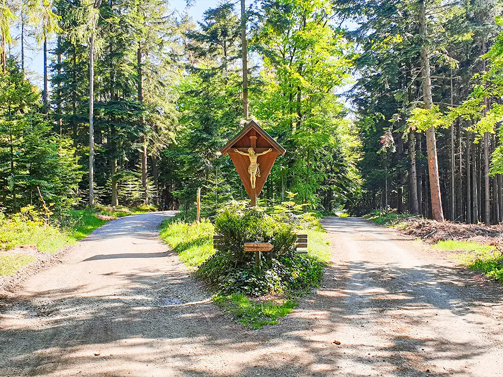 Zwei Pfade in einem Wald in der nähe von Simbach am Inn